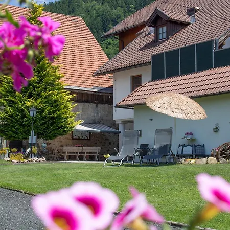 Und Kaernten 公寓 *