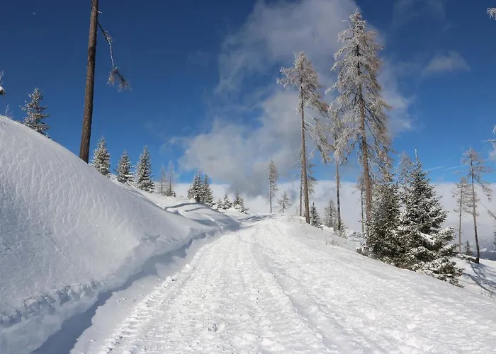 Апартаменты Und Kaernten